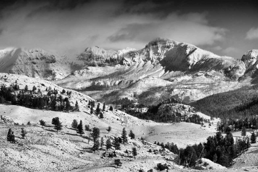 Photograph of a landscape in Black and White by Amar Guillen, ph Photograph of a landscape in Black and White by Amar Guillen, ph