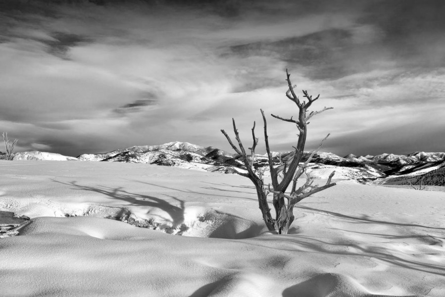 Photograph of a landscape in Black and White by Amar Guillen, ph Photograph of a landscape in Black and White by Amar Guillen, ph