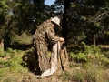 Utiliser un fantôme des bois pour photographier le brame du cer