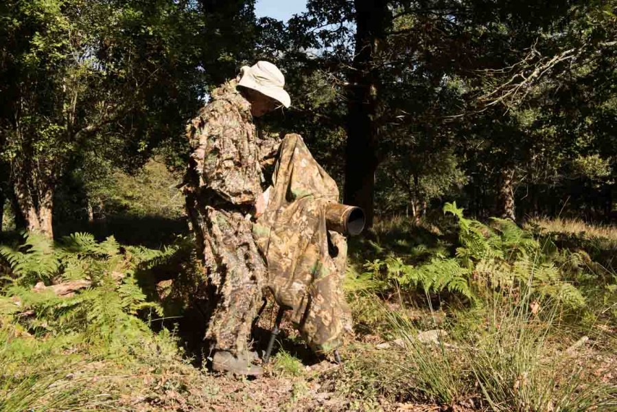 Using a cloth camera blind for rut of the deer by Amar Guillen, Using a cloth camera blind for rut of the deer by Amar Guillen,