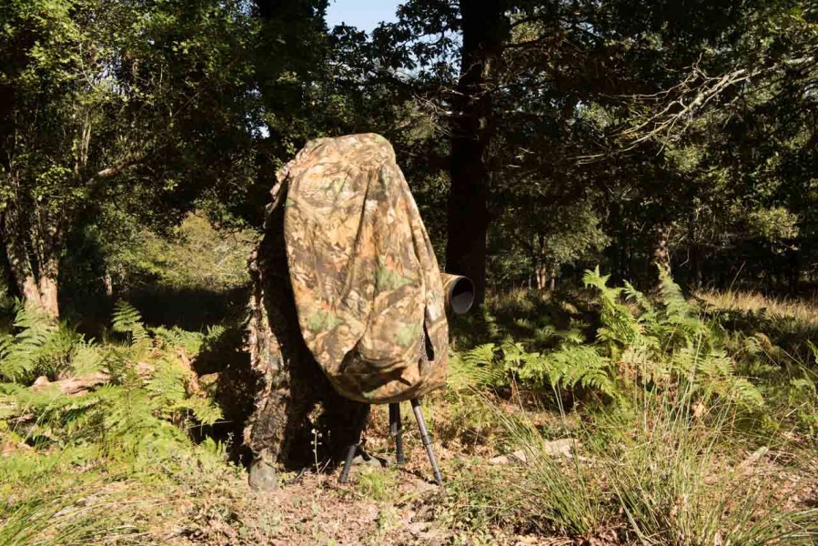 Using a cloth camera blind for rut of the deer by Amar Guillen, Using a cloth camera blind for rut of the deer by Amar Guillen,