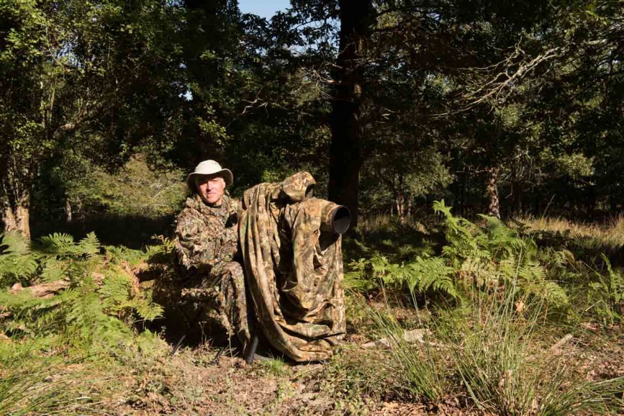 Using a cloth camera blind for rut of the deer by Amar Guillen, Using a cloth camera blind for rut of the deer by Amar Guillen,