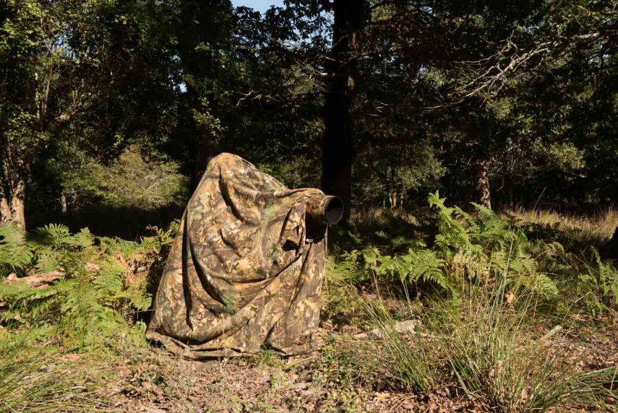 Using a cloth camera blind for rut of the deer by Amar Guillen, Using a cloth camera blind for rut of the deer by Amar Guillen,
