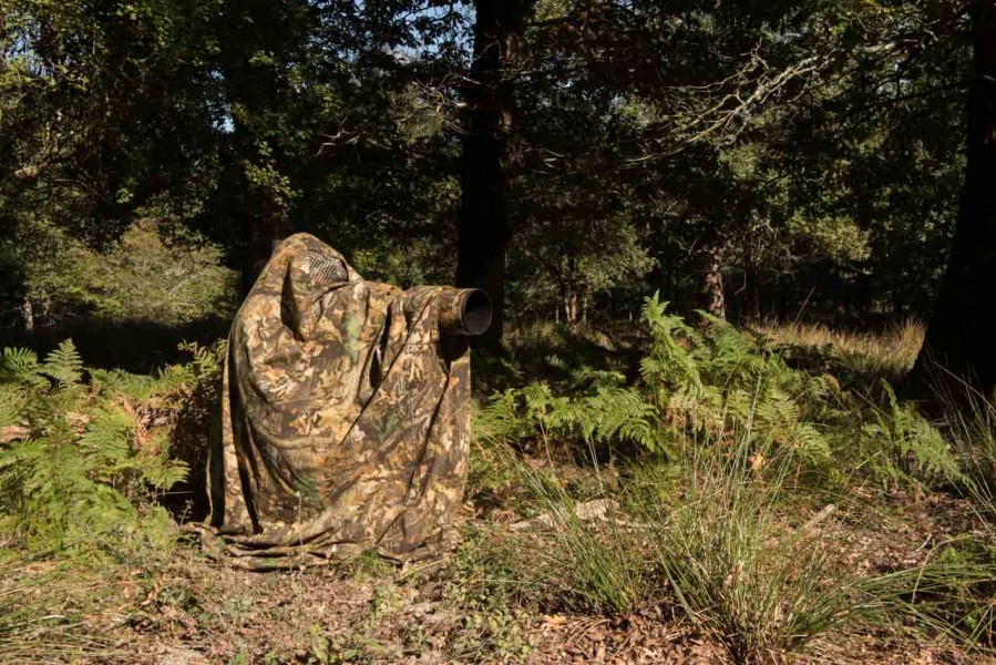 Using a cloth camera blind for rut of the deer by Amar Guillen, Using a cloth camera blind for rut of the deer by Amar Guillen,