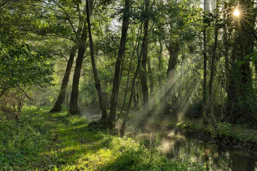 11 paysages en couleur 11 paysages en couleur