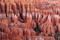 Blog Gallery Landscapes in Black and White - 2