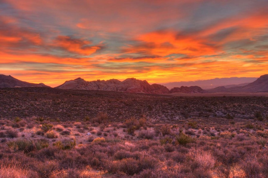 Photograph of a landscape in Color by Amar Guillen, photographer Photograph of a landscape in Color by Amar Guillen, photographer