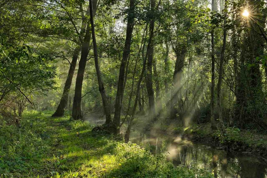 Photograph of a landscape in Color by Amar Guillen, photographer Photograph of a landscape in Color by Amar Guillen, photographer