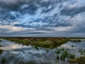Photo de la nature de la Charente-Maritime par Amar Guillen, Art
