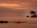 Photo de la nature de la Charente-Maritime par Amar Guillen, Art