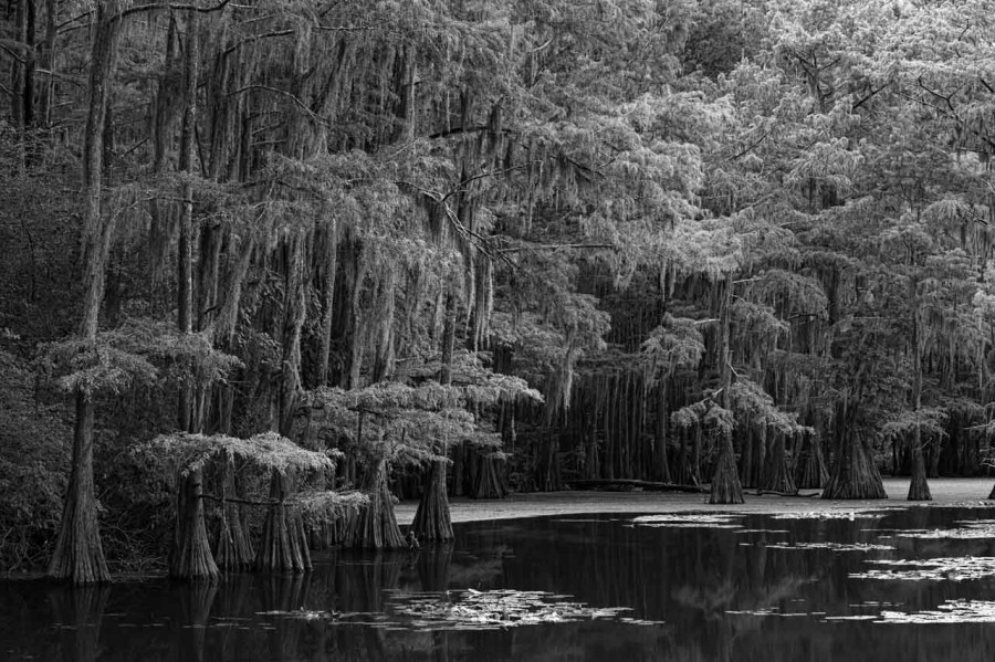 Landscape in black and white of Texas by Amar Guillen, photograp Landscape in black and white of Texas by Amar Guillen, photograp