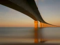 Photo de la nature de la Charente-Maritime par Amar Guillen, Art