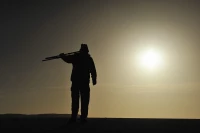 Wall of photos professional photographer