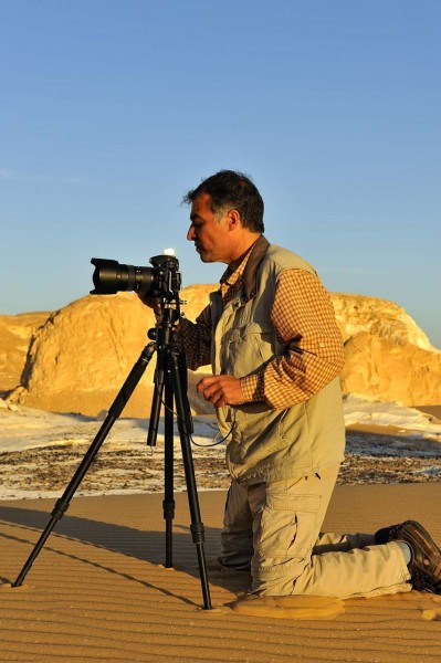 Amar Guillen photographe professionnel de la nature - animalier, Amar Guillen photographe professionnel de la nature - animalier,