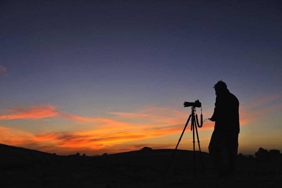 Amar Guillen photographe professionnel de la nature - animalier, Amar Guillen photographe professionnel de la nature - animalier,
