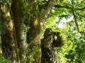 Amar Guillen photographe professionnel de la nature - animalier,