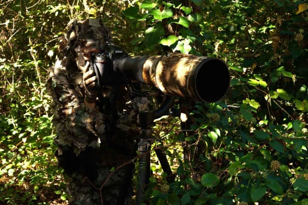 Amar Guillen photographe professionnel de la nature - animalier, Amar Guillen photographe professionnel de la nature - animalier,