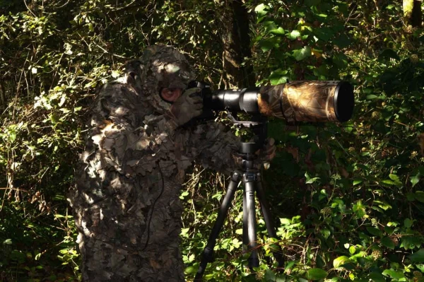 Amar Guillen photographe professionnel de la nature - animalier, Amar Guillen photographe professionnel de la nature - animalier,