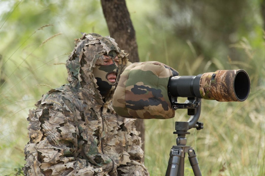 Amar Guillen photographe professionnel de la nature - animalier, Amar Guillen photographe professionnel de la nature - animalier,