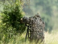 Amar Guillen photographe professionnel de la nature - animalier,