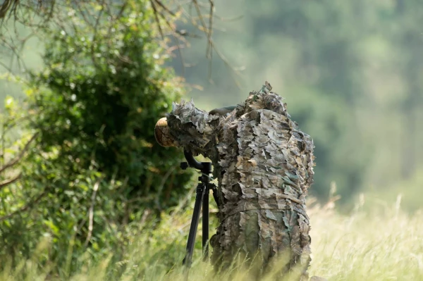 Amar Guillen photographe professionnel de la nature - animalier, Amar Guillen photographe professionnel de la nature - animalier,