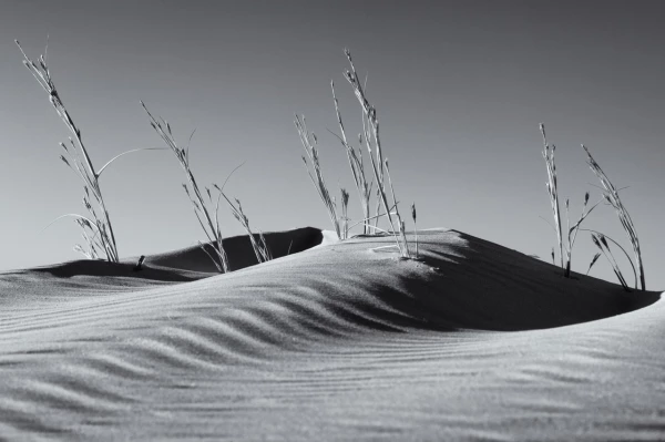 Amar Guillen photographe professionnel de paysages. Amar Guillen photographe professionnel de paysages.