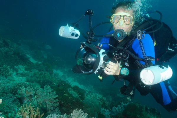 Amar Guillen photographe professionnel de la nature - animalier, Amar Guillen photographe professionnel de la nature - animalier,