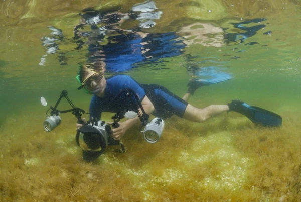 Amar Guillen photographe professionnel de la nature - animalier, Amar Guillen photographe professionnel de la nature - animalier,