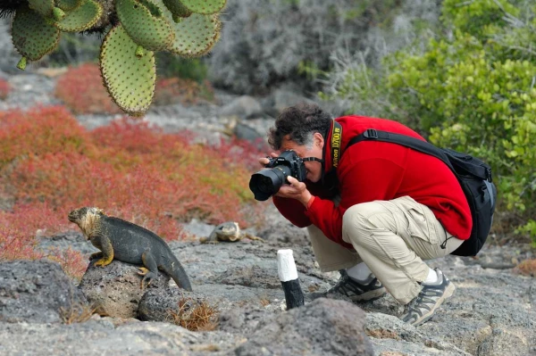 Amar Guillen photographe professionnel de la nature - animalier, Amar Guillen photographe professionnel de la nature - animalier,