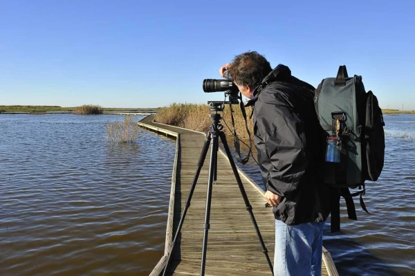 Amar Guillen photographe professionnel de la nature - animalier, Amar Guillen photographe professionnel de la nature - animalier,