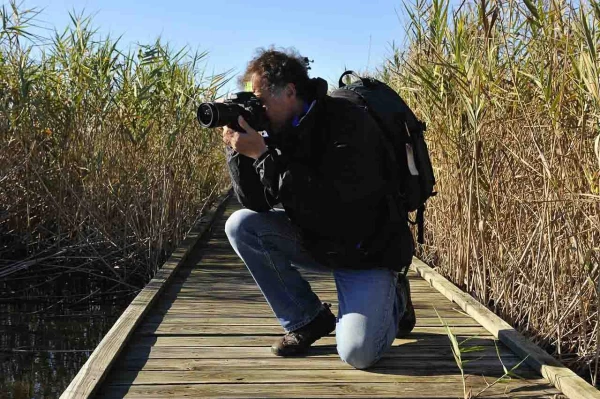 Amar Guillen photographe professionnel de la nature - animalier, Amar Guillen photographe professionnel de la nature - animalier,