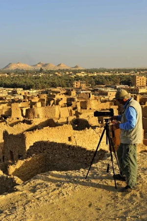 Amar Guillen photographe professionnel de la nature - animalier, Amar Guillen photographe professionnel de la nature - animalier,