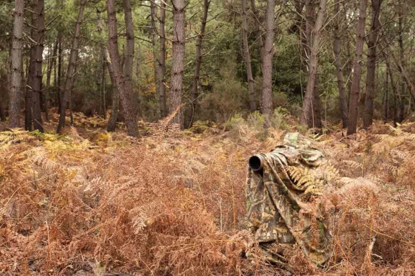 Amar Guillen photographe professionnel de la nature - animalier, Amar Guillen photographe professionnel de la nature - animalier,
