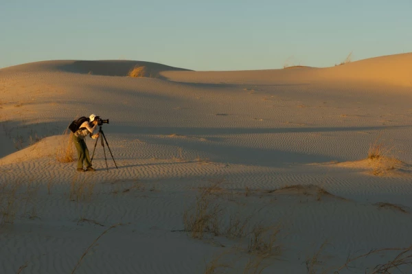 Amar Guillen photographe professionnel de la nature - animalier, Amar Guillen photographe professionnel de la nature - animalier,