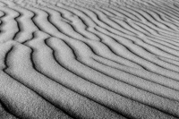 Wall of photos landscape photographer