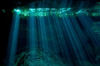 Wall of photos underwater photographer