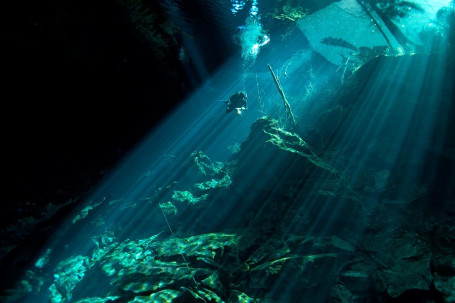 Amar Guillen underwater professional photographer Amar Guillen underwater professional photographer