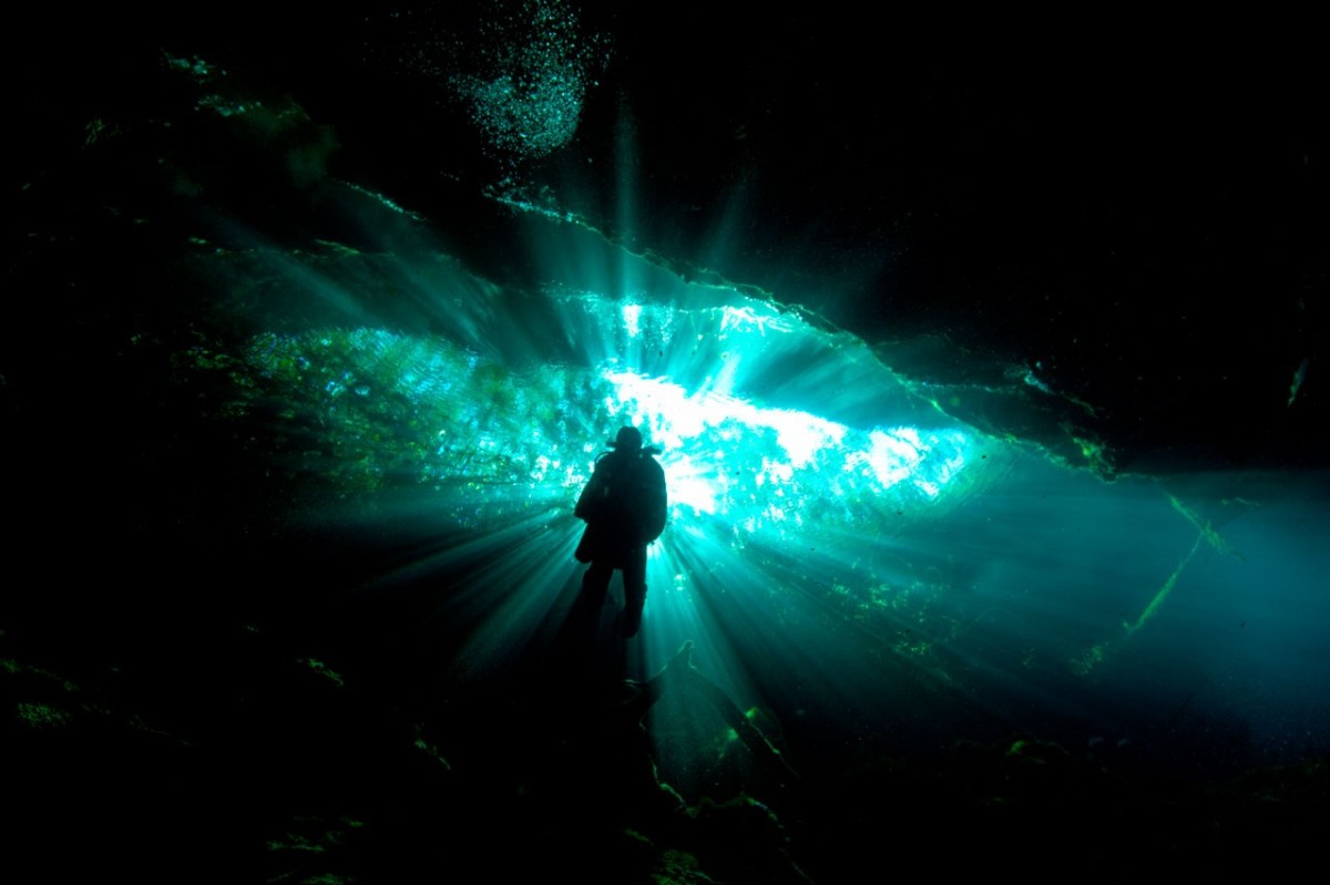 Professional Underwater Photographer Artist