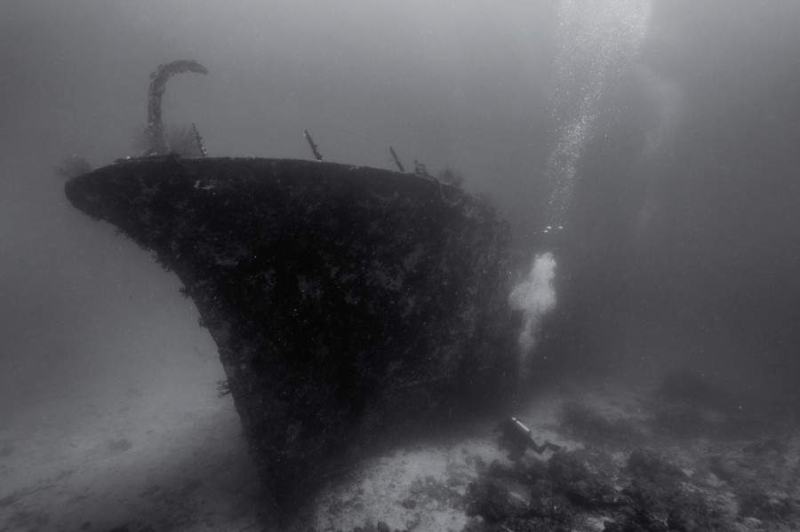 Amar Guillen underwater professional photographer Amar Guillen underwater professional photographer