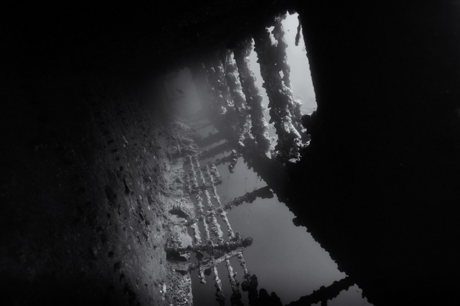 Amar Guillen underwater professional photographer Amar Guillen underwater professional photographer