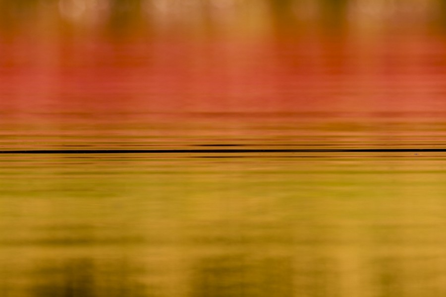 Riples at the surface of water in a pond in La Dombes. Conceptua Riples at the surface of water in a pond in La Dombes. Conceptua