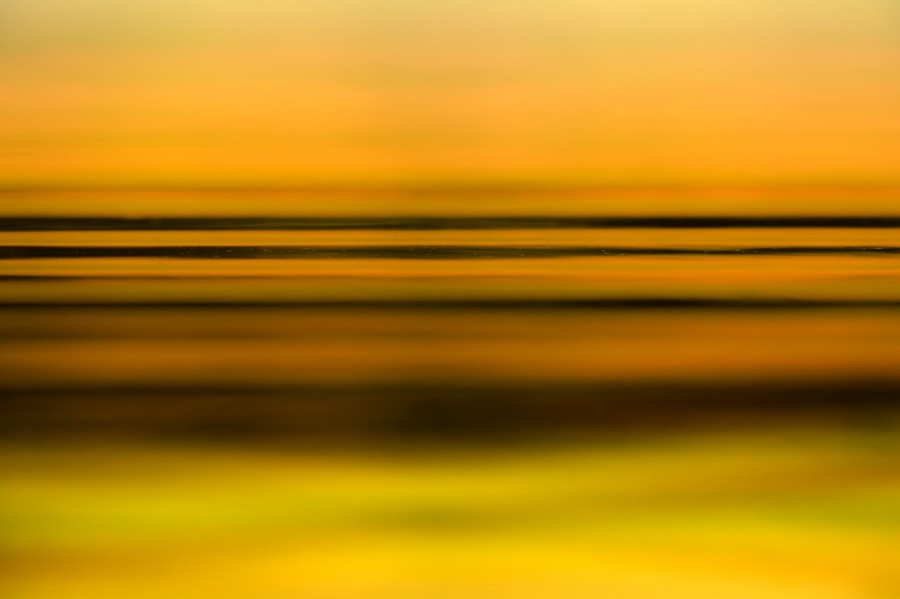 Riples at the surface of water in a pond in La Dombes. Conceptua Riples at the surface of water in a pond in La Dombes. Conceptua