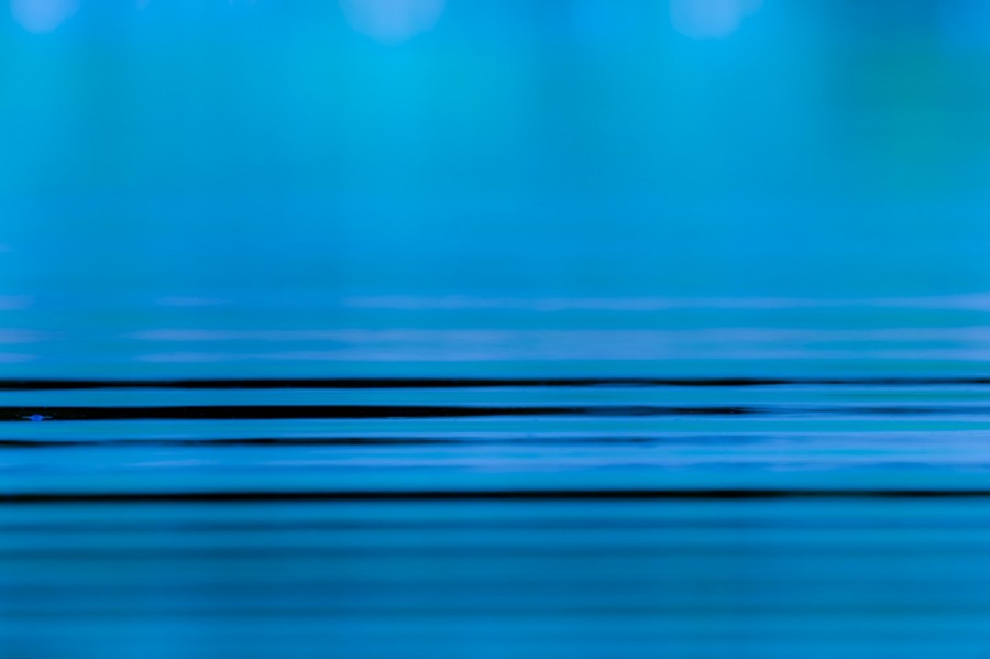 Riples at the surface of water in a pond in La Dombes. Conceptua Riples at the surface of water in a pond in La Dombes. Conceptua