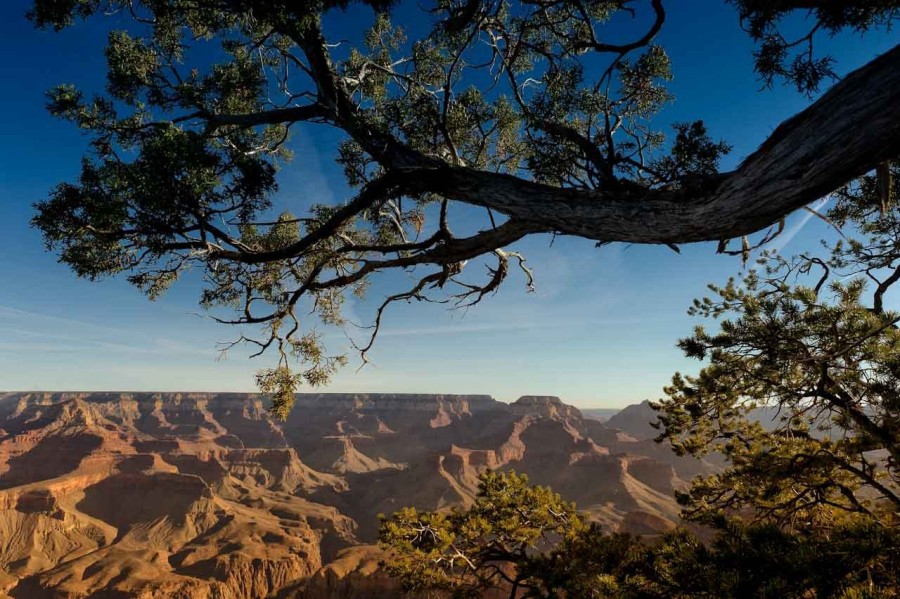 La rive sud du Grand Canyon dans l'état de l'Arizona aux Etats- La rive sud du Grand Canyon dans l'état de l'Arizona aux Etats-