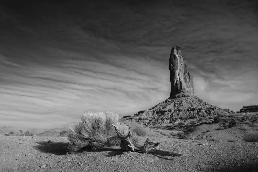 Paysage en noir et blanc de Monument Valley dans l'état de l'Ar Paysage en noir et blanc de Monument Valley dans l'état de l'Ar