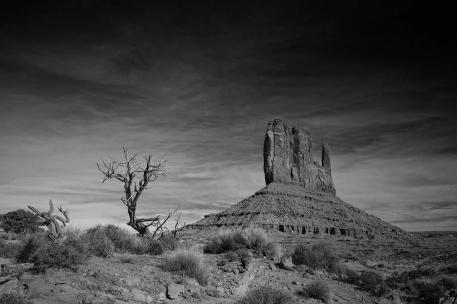 Paysage en noir et blanc de Monument Valley dans l'état de l'Ar Paysage en noir et blanc de Monument Valley dans l'état de l'Ar