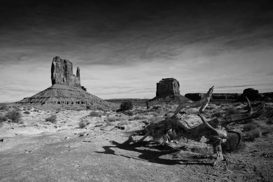 Paysage en noir et blanc de Monument Valley dans l'état de l'Ar Paysage en noir et blanc de Monument Valley dans l'état de l'Ar