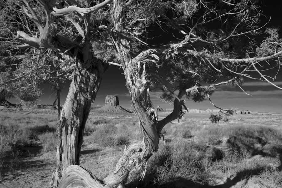 Paysage en noir et blanc de Monument Valley dans l'état de l'Ar Paysage en noir et blanc de Monument Valley dans l'état de l'Ar