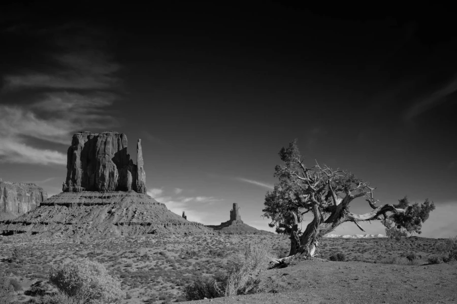 Paysage en noir et blanc de Monument Valley dans l'état de l'Ar Paysage en noir et blanc de Monument Valley dans l'état de l'Ar