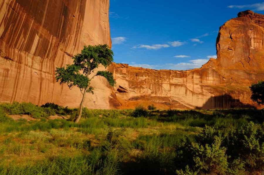 Landscape of Canyon de Chelly in Arizona. Amar Guillen, Photogra Landscape of Canyon de Chelly in Arizona. Amar Guillen, Photogra
